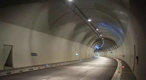 課堂丨跑高速隧道一定要留意這個標(biāo)志，會被扣6分，電子狗也沒用